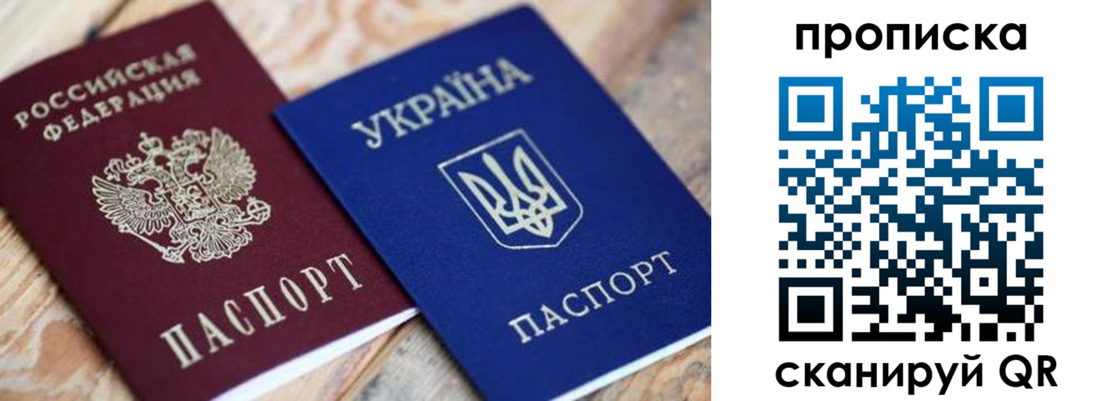 прописка поиск в Электрогорске